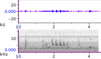 Waveform & Spectrogram of American Goldfinch