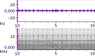 Waveform & Spectrogram of Douglas Squirrel