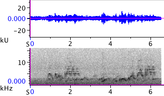 Waveform & Spectrogram of Swainson's Thrush