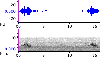 Waveform & Spectrogram of White-crowned Sparrow