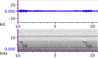 Waveform & Spectrogram of Black-capped Chickadee